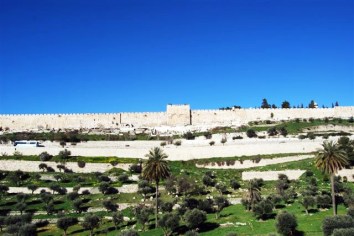 450a View of Eastern Wall and Gate from Mt of Olives (Tom)