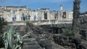 IMG_20140301_121926_835 (1)