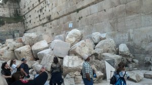 IMG_20140304_094349_627