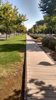 IMG_20170906_101644710_HDR