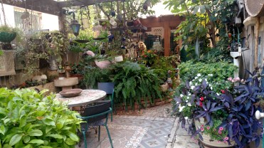 IMG_20170906_102805559