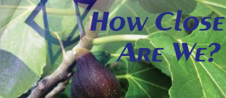 This image has an empty alt attribute; its file name is image-4.png