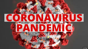 Image result for coronavirus pandemic