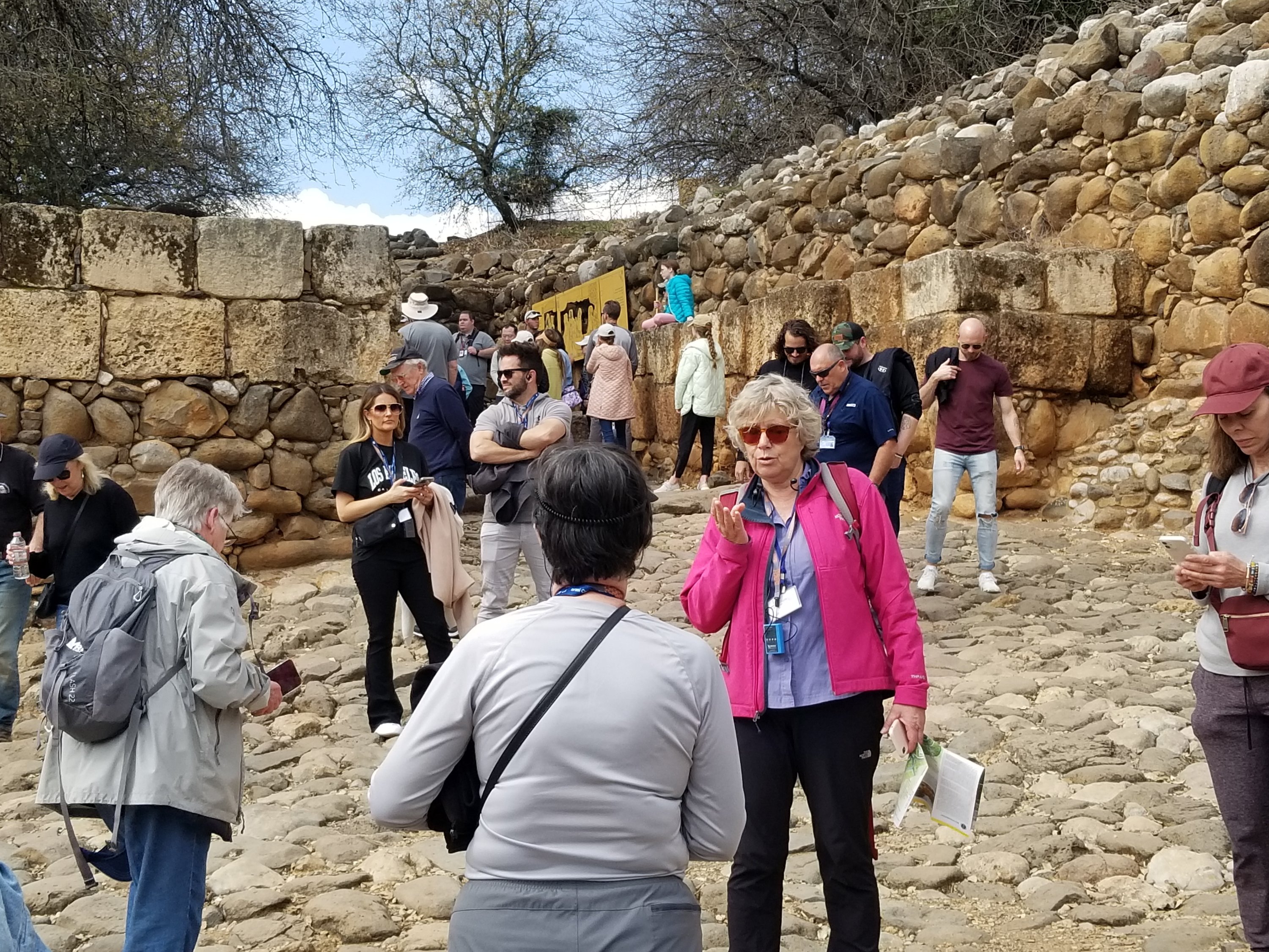 A Day on the Golan Heights – Looking for the Blessed Hope