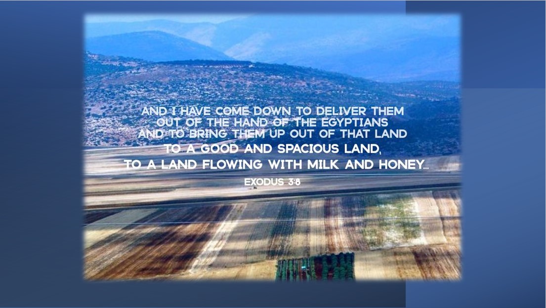 Israel: Land Flowing with Milk and Honey…and Grapes! – Looking for the ...